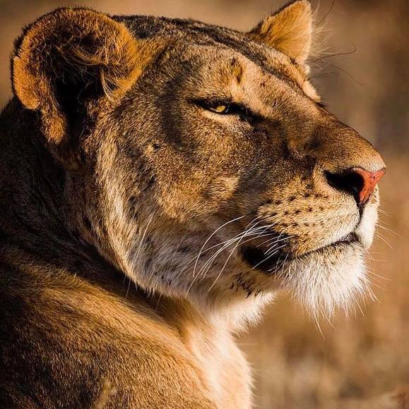 baltierrez34